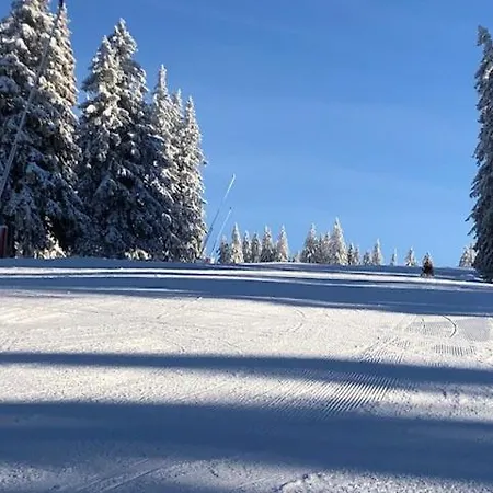 A304 La Perle De Savoie Apartment