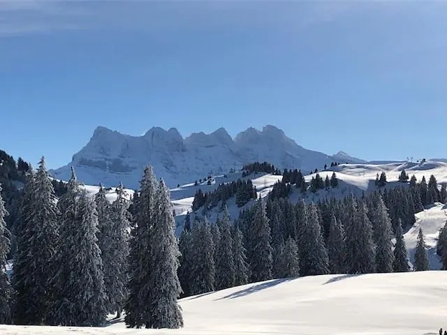 A304 La Perle De Savoie *