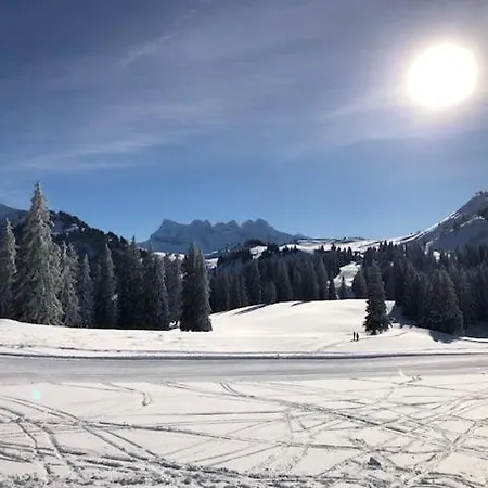 A304 La Perle De Savoie Châtel