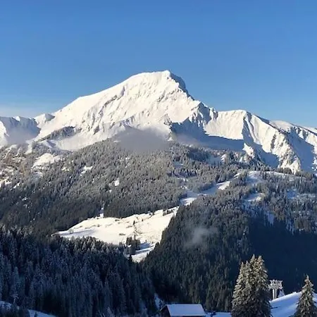 A304 La Perle De Savoie Châtel