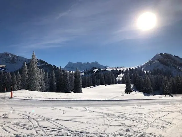A304 La Perle De Savoie Châtel